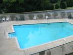 Tn-003255_pool_01_f