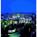 Disneys Grand Californian::ProfessionalTravelGuide.com