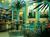 The Hotel::ProfessionalTravelGuide.com