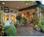 Cambria Pines Lodge::Epinions.com