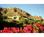 Sanctuary on Camelback Mountain Resort and Spa from Epinions.com