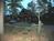 Callaway Gardens Resort::TripAdvisor