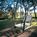 Temecula Creek Inn::Orbitz