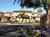 Sheraton Desert Oasis::Travelocity.com