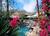 Oasis Resort::Hotels.com