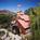 Apple Farm::Orbitz
