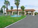 Best Western Golden Pheasant Inn