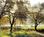 CordeValle A Rosewood Resort::Priceline.com