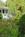 Woodstock Inn on the Millstream::BedAndBreakfast.com