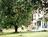 Miller Tree Inn::Hotels.com