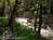 Ramsey Canyon Cabins::BedAndBreakfast.com