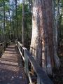 AUDUBON CENTER AT FRANCIS BEIDLER FOREST