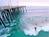 SeaVenture Resort::Priceline.com