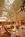 Innisbrook Resort and Golf Club::Expedia