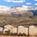 Holiday Inn Express Hotel & Suites Cedar City::Orbitz