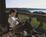 Vintage Villas Hotel & Conference Center::Priceline.com