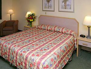 La Quinta Inn Tampa-Near Busch Gardens::Hotels.com