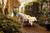 Planters Inn::Expedia