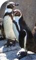 Sedgwick County Zoo