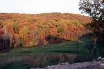 Seven Springs Winery