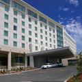 Harrah S Metropolis Casino::ProfessionalTravelGuide.com
