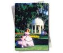 My Gallery II of Cypress Gardens