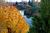 Best Western River's Edge::Expedia