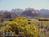 Harvest House::BedAndBreakfast.com