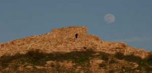 Web-tuzi_tuzigootmoon