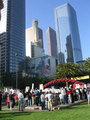 Tn-crowdr1big