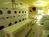 Emerald Suites Tropicana::Expedia