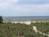 A Beach Retreat on Casey Key::Travelocity.com
