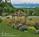 Morgan Hill Retreat::BedAndBreakfast.com