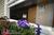 Green Turtle Floating Bed and Breakfast::BedAndBreakfast.com