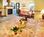 Inn at Cannon Beach::Travelocity.com