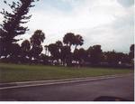 South Palm Park