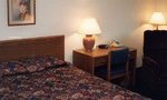 Super 8 Motel - Gainesville::Yahoo! Travel