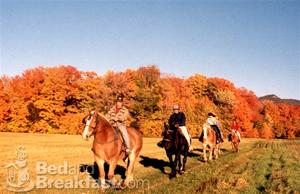 Farm by the River Bed and Breakfast::BedAndBreakfast.com