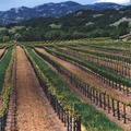 D'Agostini Winery