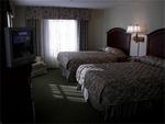 Tn-wdgen_b18