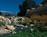 Temecula Creek Inn::Orbitz