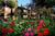 San Diego Country Estates from ProfessionalTravelGuide.com