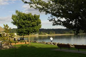 Web-sea_rlsh-eview-1