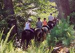 Tn-horseback_riding_nc