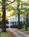 Merry Sherwood Plantation::BedAndBreakfast.com