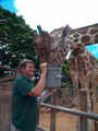 Honolulu Zoo
