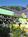 The Historic Silverbow Inn::Priceline.com