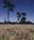 Lighthouse Field State Beach::Ci.santa-cruz.ca.us