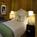 Hotel deLuxe::Priceline.com