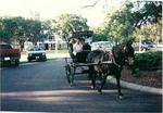 Wachesaw Plantation::ProfessionalTravelGuide.com